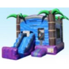 Tropical Combo Inflatable Bounce House